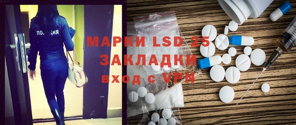 ПСИЛОЦИБИНОВЫЕ ГРИБЫ Алзамай