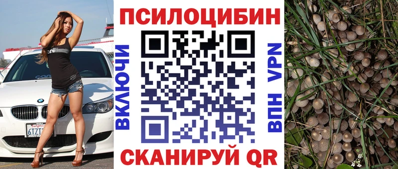 Псилоцибиновые грибы Psilocybine cubensis  Лебедянь 
